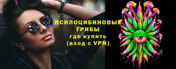соль ск Новозыбков